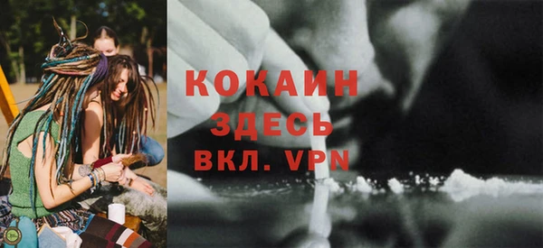 крисы Козловка