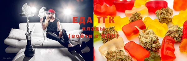 гашик Арсеньев