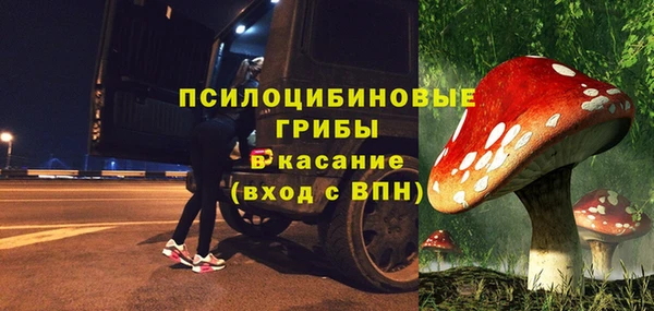 гашик Арсеньев