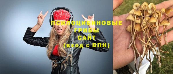 СК Балахна